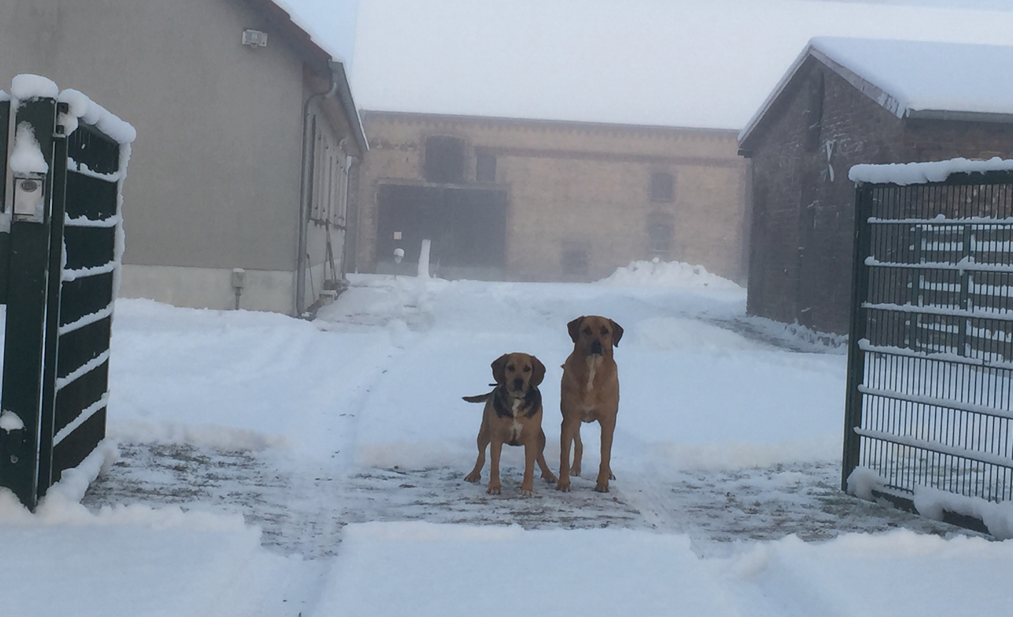 Nicht willkommen: Überflüssige Bürokratie muss draußen bleiben