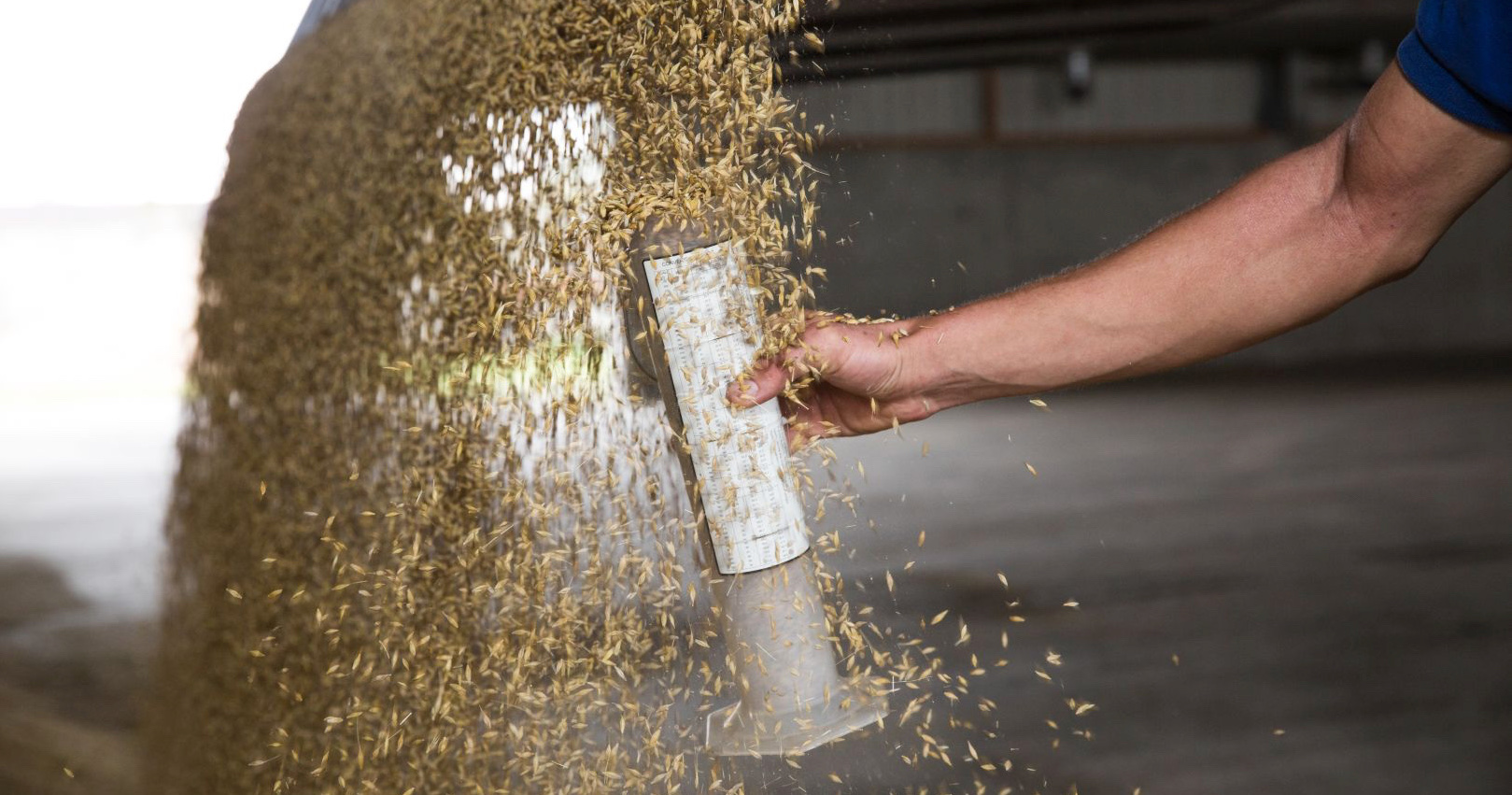 Getreide aus der Ukraine überschwemmt den europäischen Markt – das wenigste gelangt nach Afrika, seitdem die Schwarzmeerroute blockiert ist