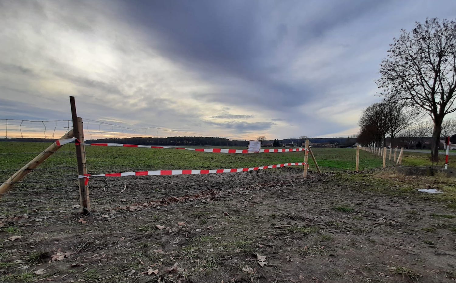 Nur mit Landwirtschaft bleiben die Wildschweine drin