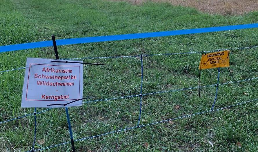 Erst der Zaunbau ... und dann?