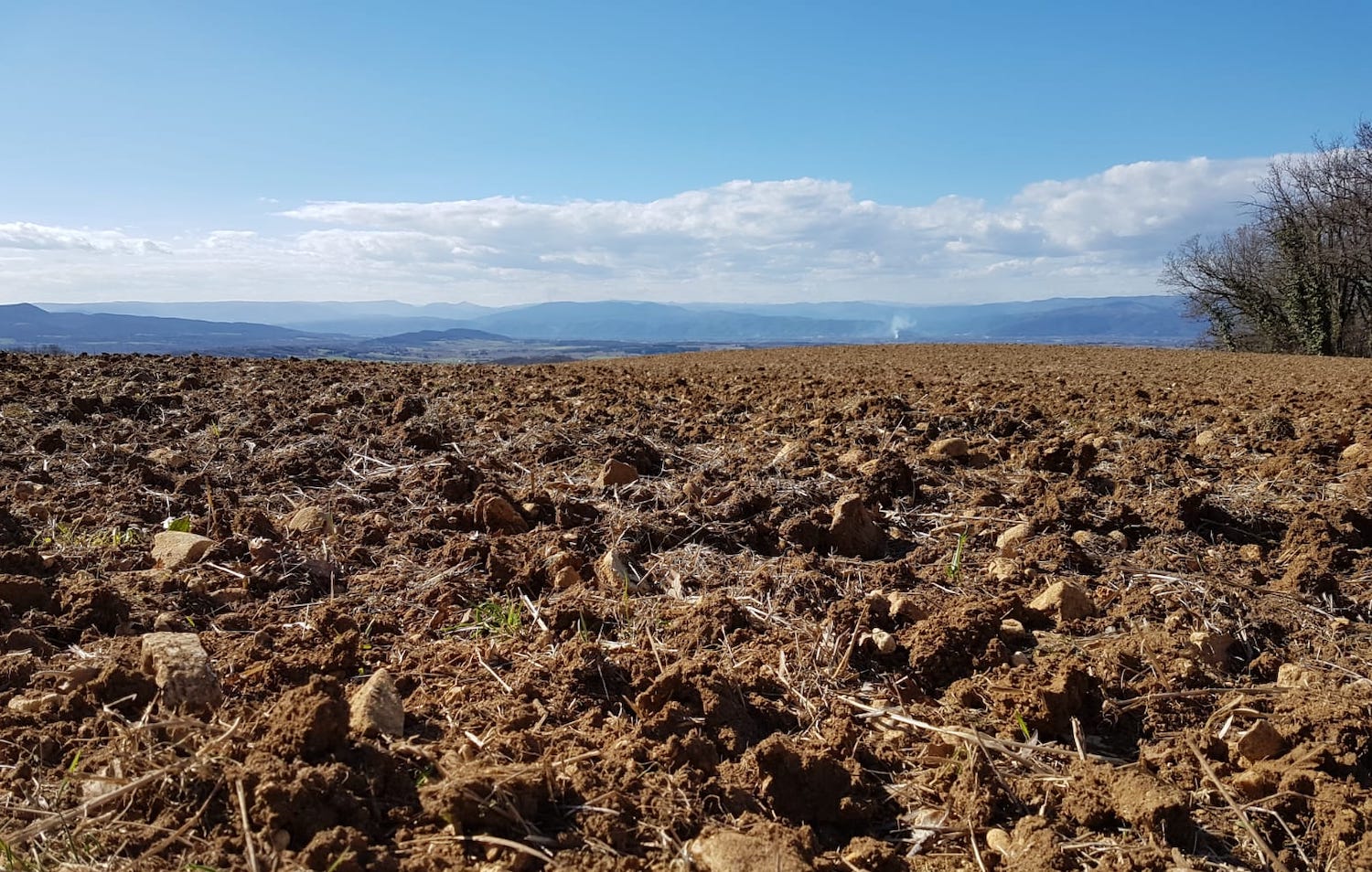 Agrarpolitik bleibt ein steiniger Acker