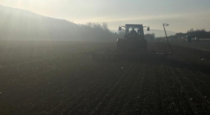 Aussaat im Frühjahr