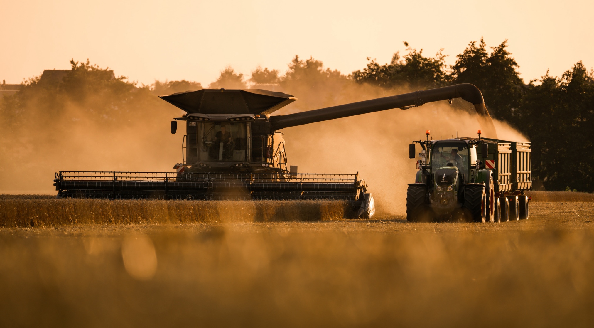Bald fahren die Drescher wieder – und wer unser Getreide haben will, sollte besser anständig mit uns umgehen