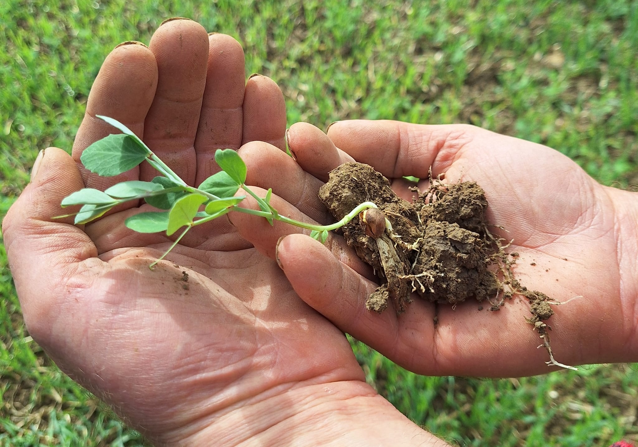 Bauernland gehört in Bauernhand, Projektentwickler und Finanzinvestoren sollen sich vom Acker machen!