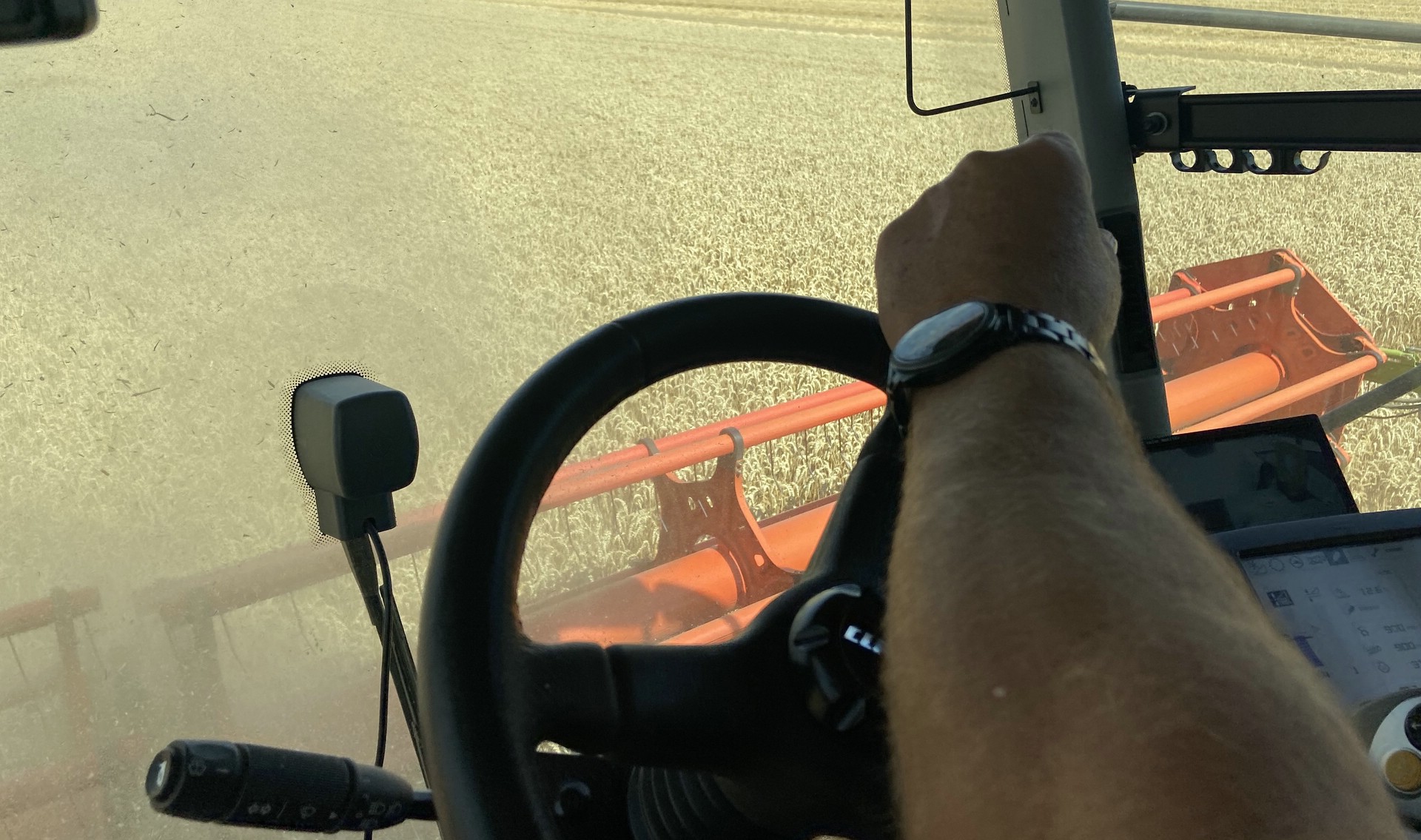 Die Ernte hat begonnen ... aber Getreide ist in Deutschland ein Drittel weniger wert als noch vor einem Jahr