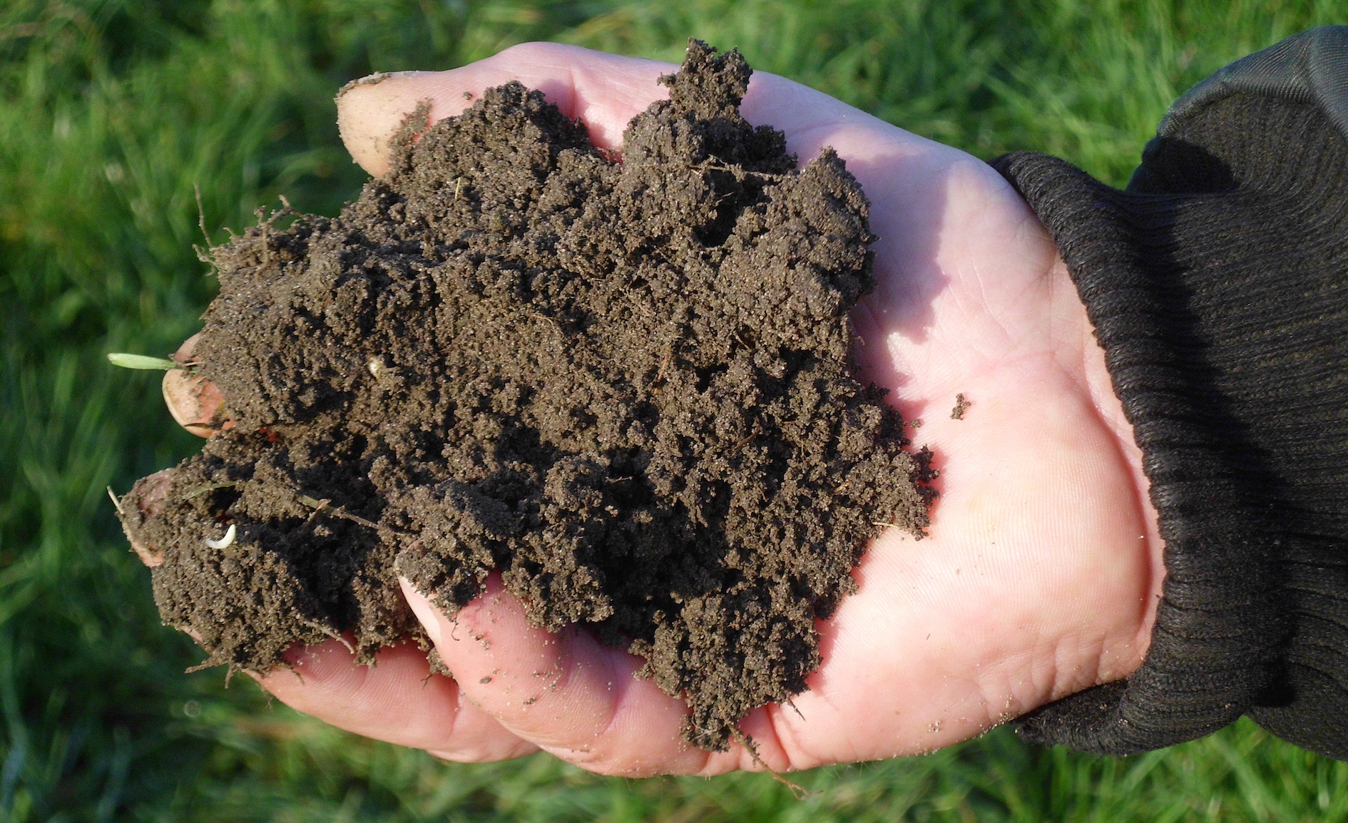 Bauernland gehört in Bauernhand … wenn man sich um diese klare Ansage herummogelt, kann man sich ein Agrarstrukturgesetz auch sparen