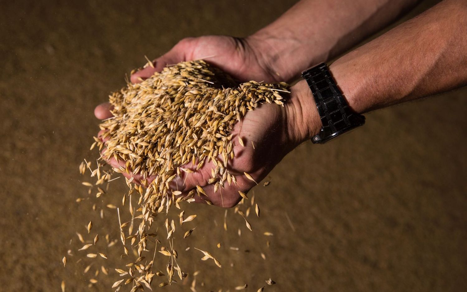 Es geht durch unsre Hände, kommt aber her von Gott!