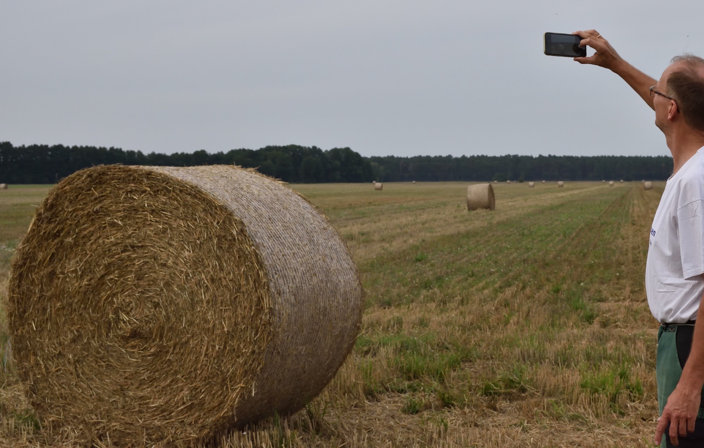 Strohballen oder Dino-Eier? Die totale Agrarüberwachung schafft endlich Klarheit