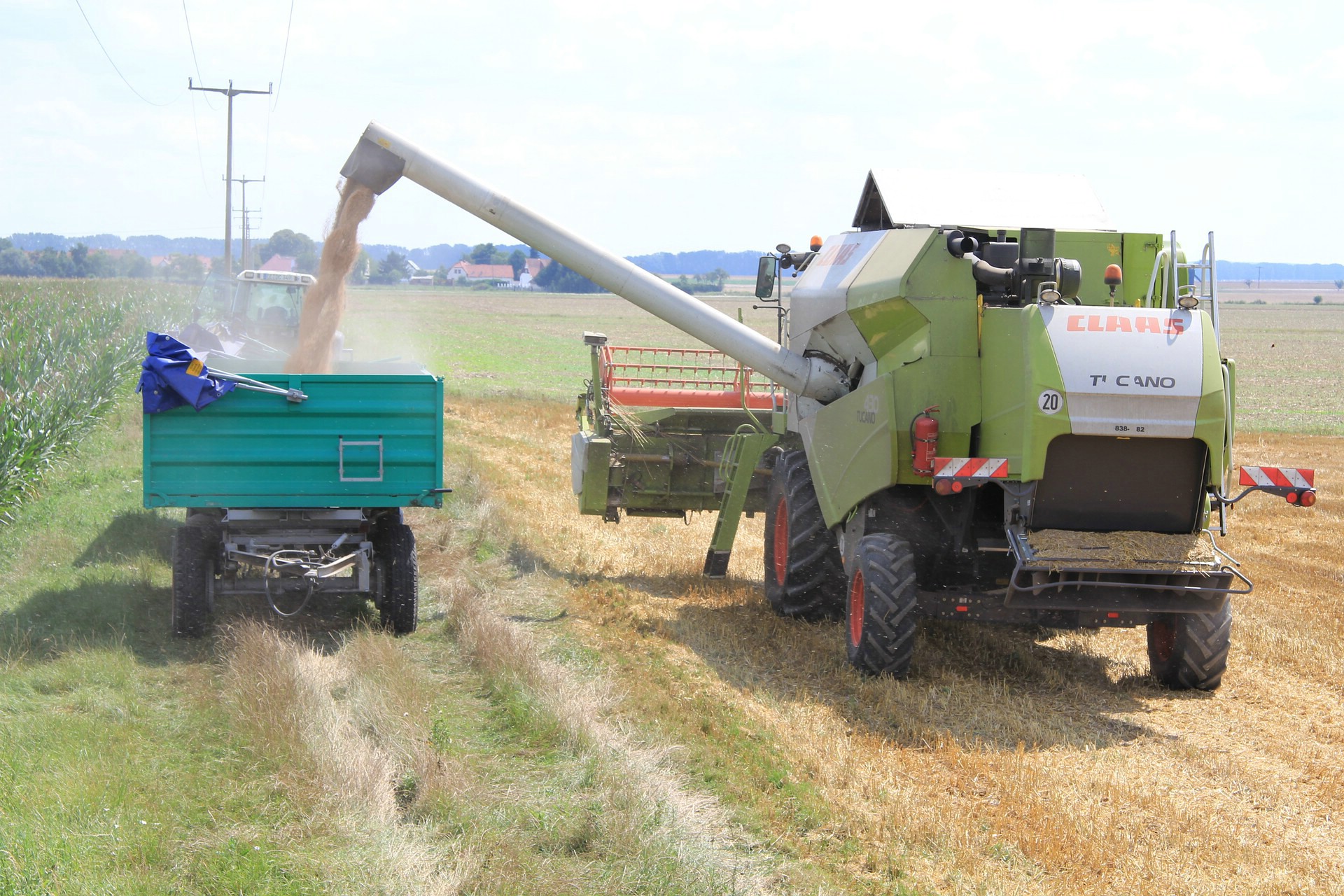 Heimische Erzeugung wird sinken