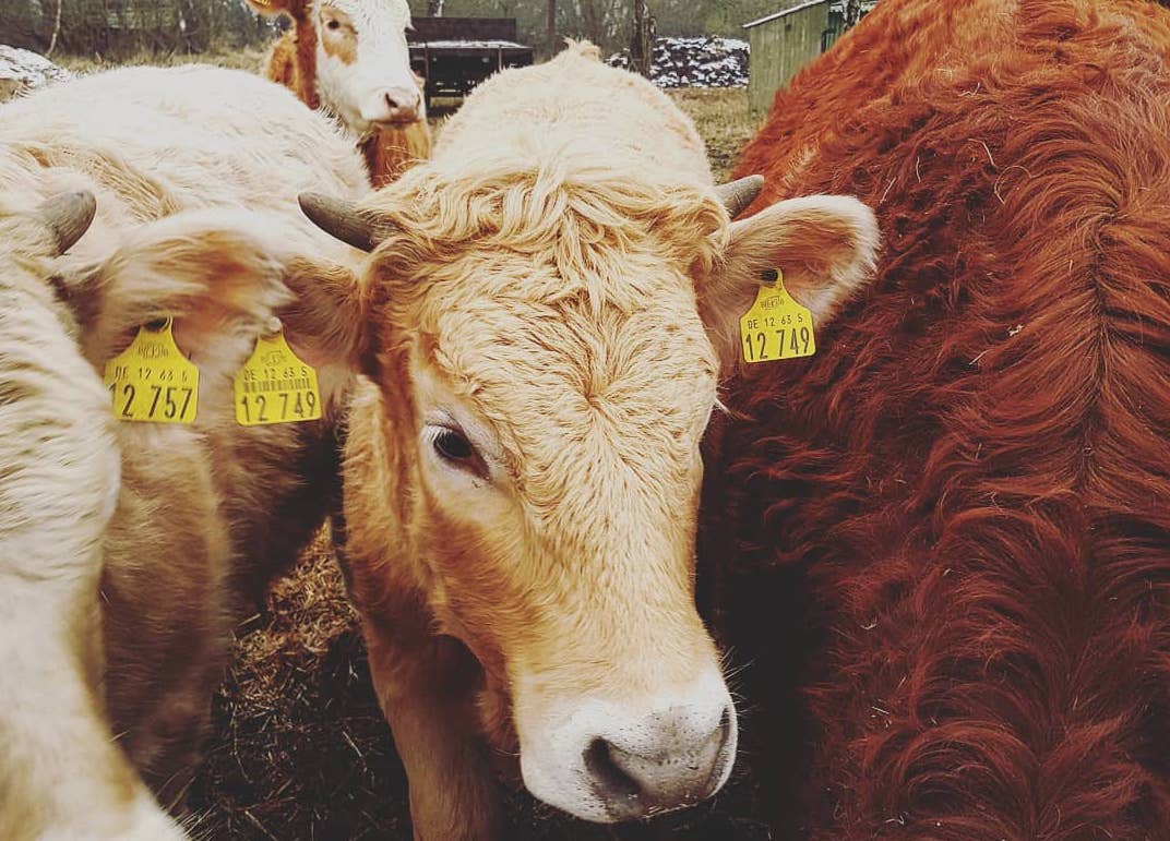 Gefährlicher als Grippe, jedenfalls vor 20 Jahren