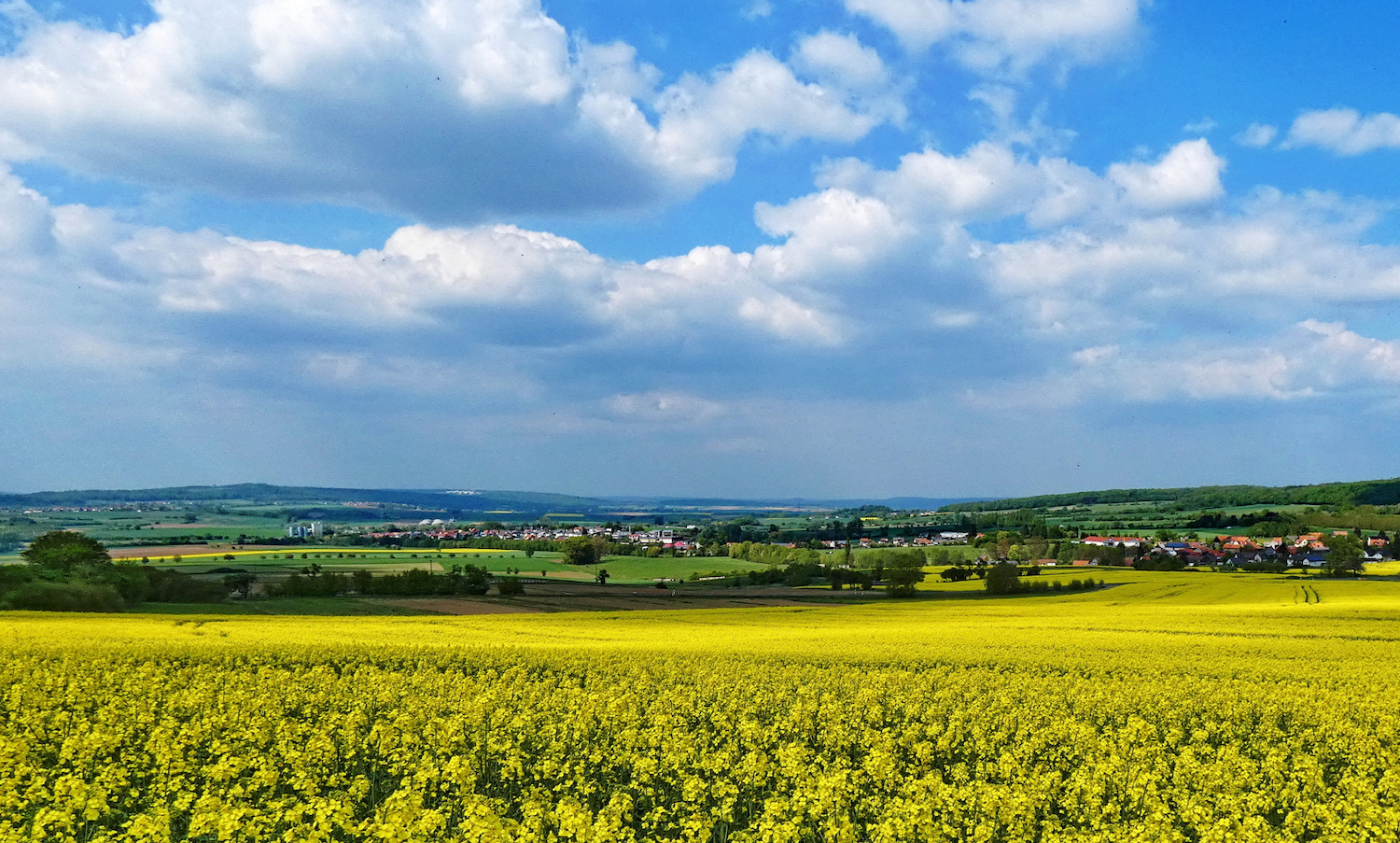 Ackerbau in Deutschland: Hohe Erträge ohne Gentechnik