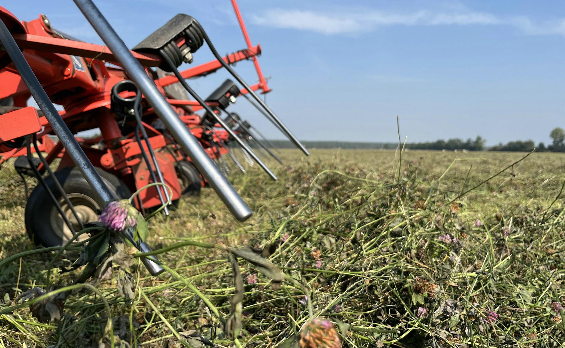 Kleinkariert: Sogar der im Kleegras gebundene Stickstoff aus der Luft muss in der Stoffstrombilanz berechnet werden.