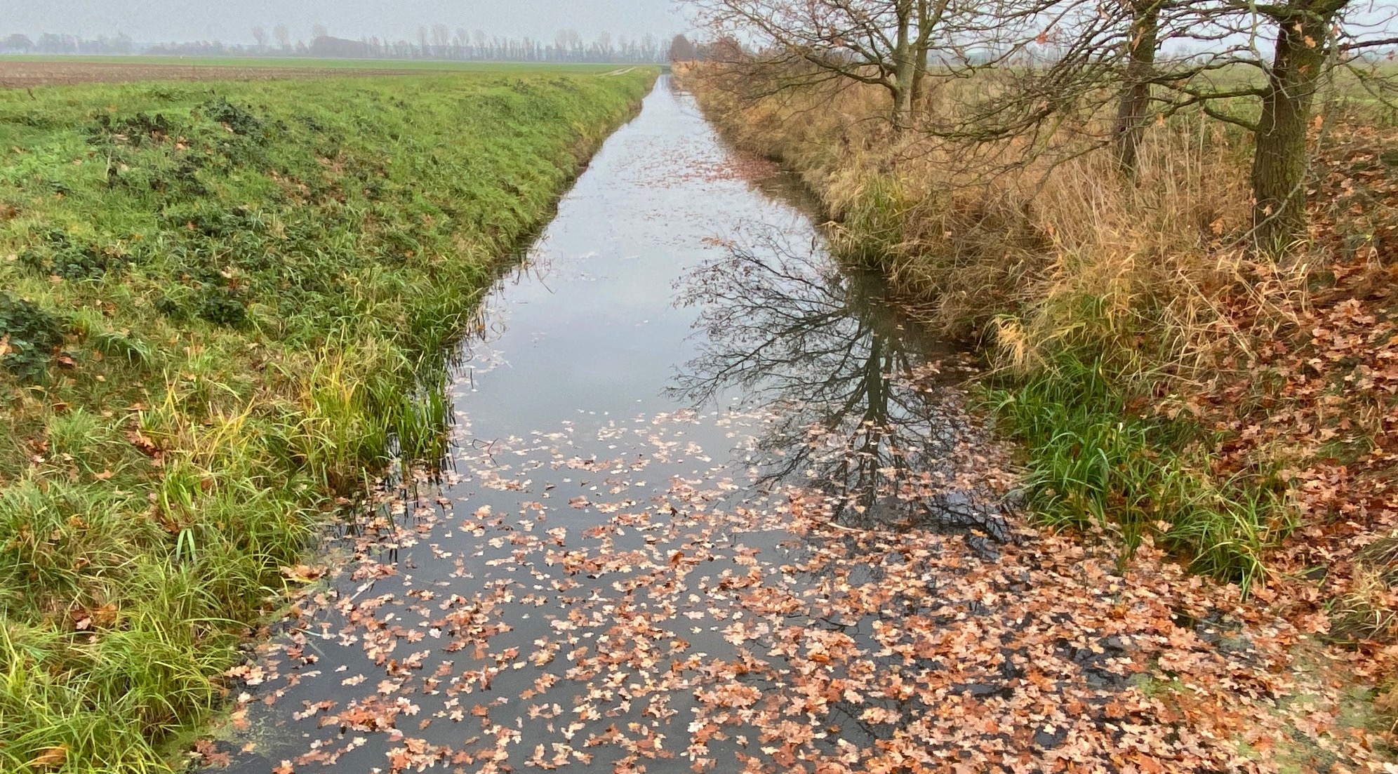 Nicht im Trüben fischen: Gegen eine fehlerhafte Ausweisung roter Gebiete sollten sich die Betriebe mit guten Argumenten wehren