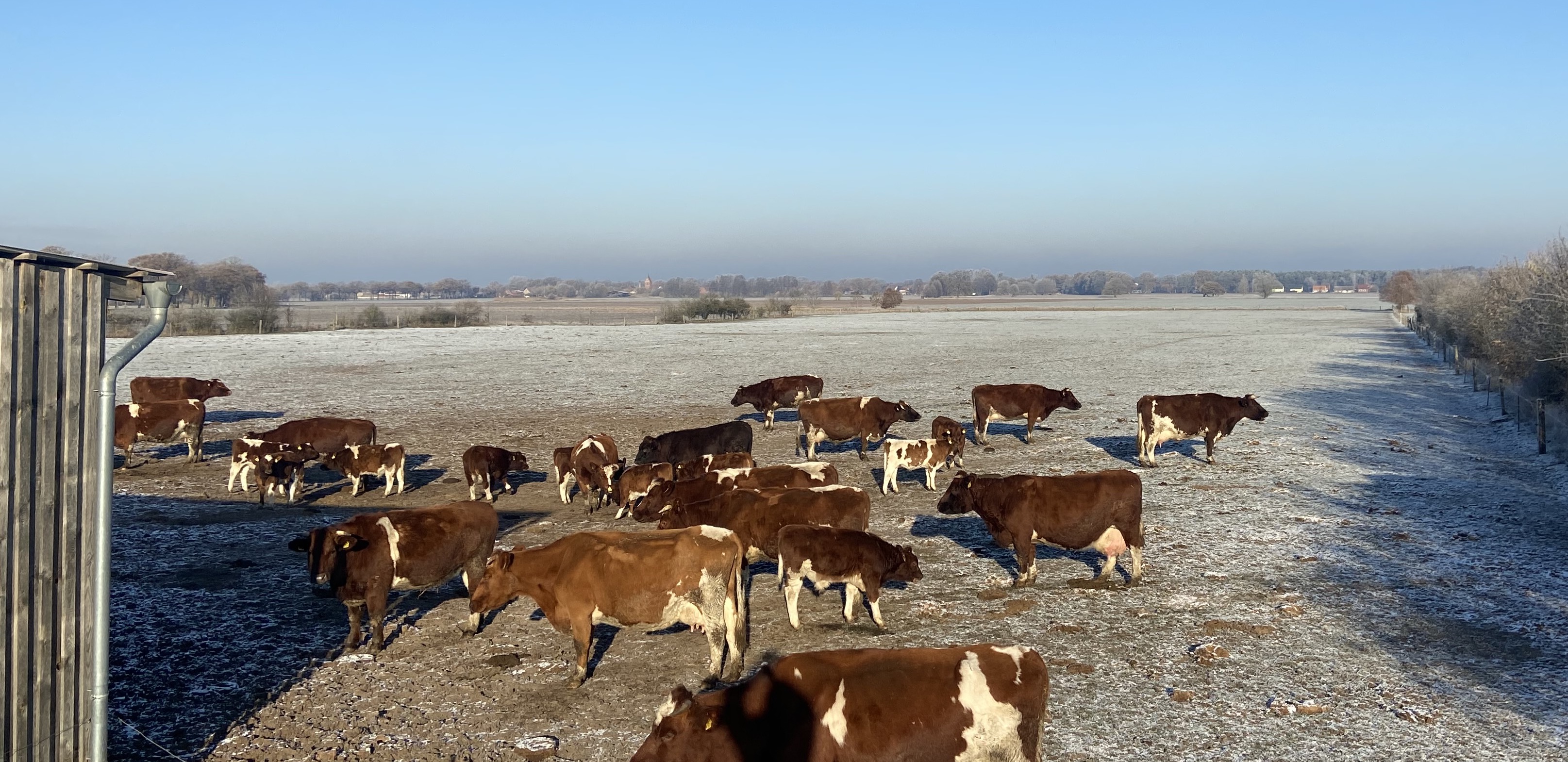 Wenn es kalt wird in Deutschland ... sind wir immer noch da