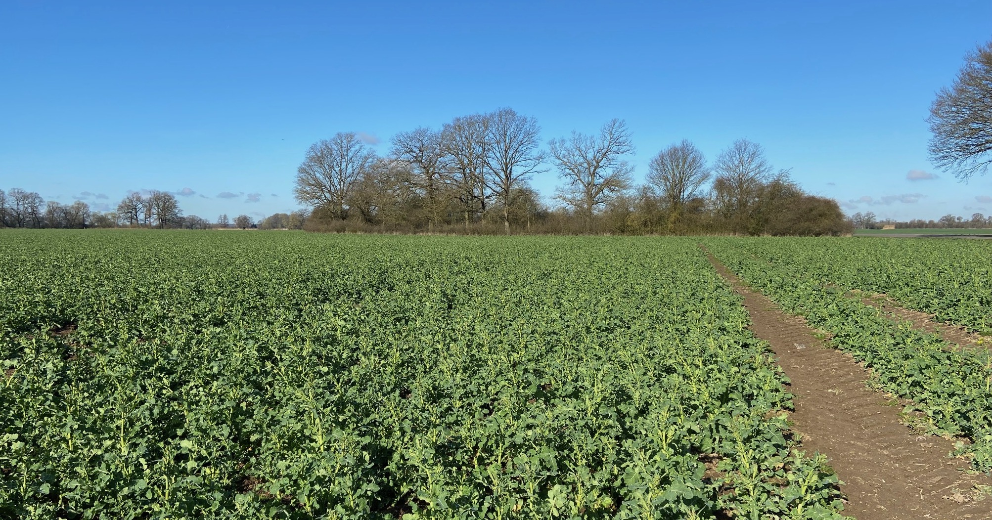 Bauernland gehört in Bauernhand ... jedenfalls nicht in die Hände einer staatlichen Immobiliengesellschaft