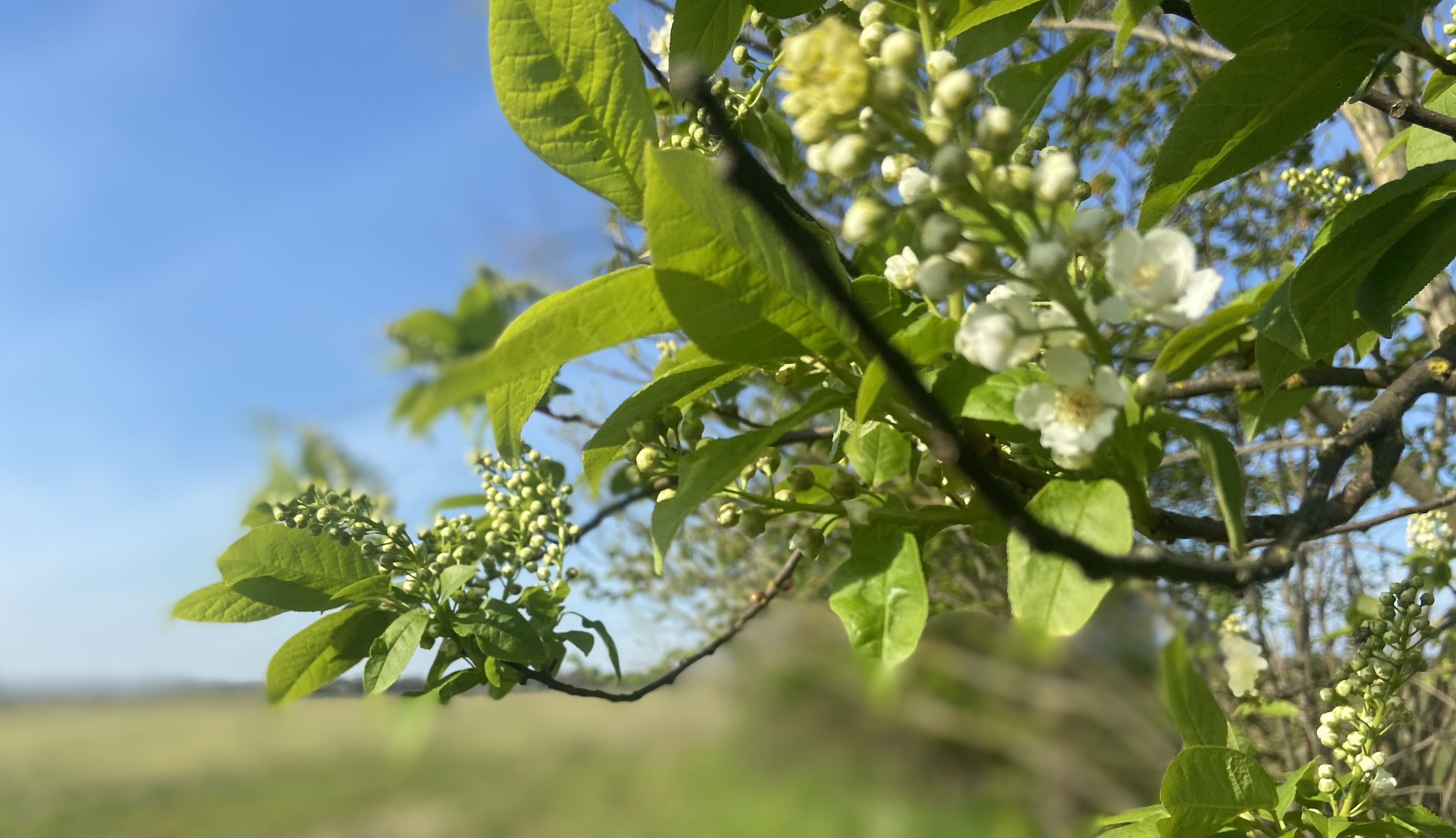 Sonnenlicht treibt die Kreisläufe der Natur an – wenn es doch nur auch in Berlin für Erleuchtung sorgen würde