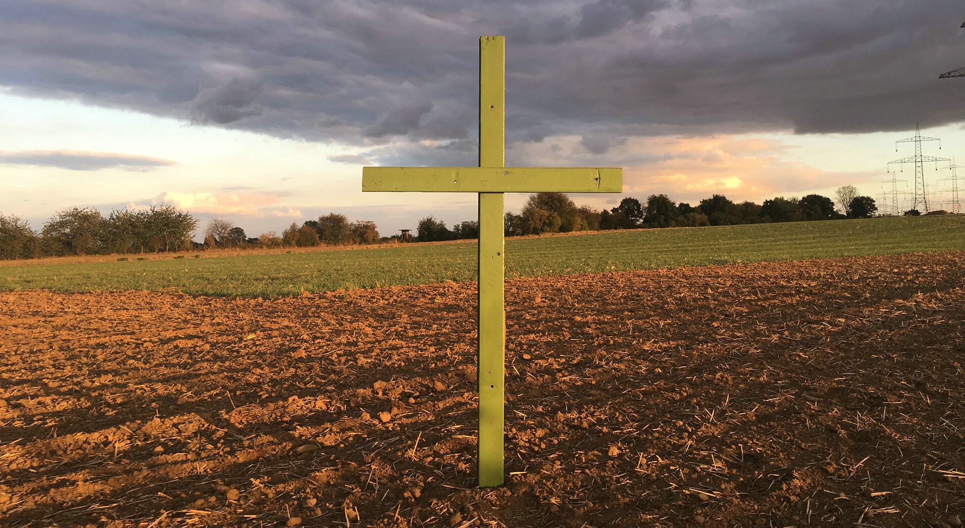 Mit grünen Kreuzen ging es los: Die Bauernproteste haben viele Menschen erreicht und werden die Gesellschaft verändern