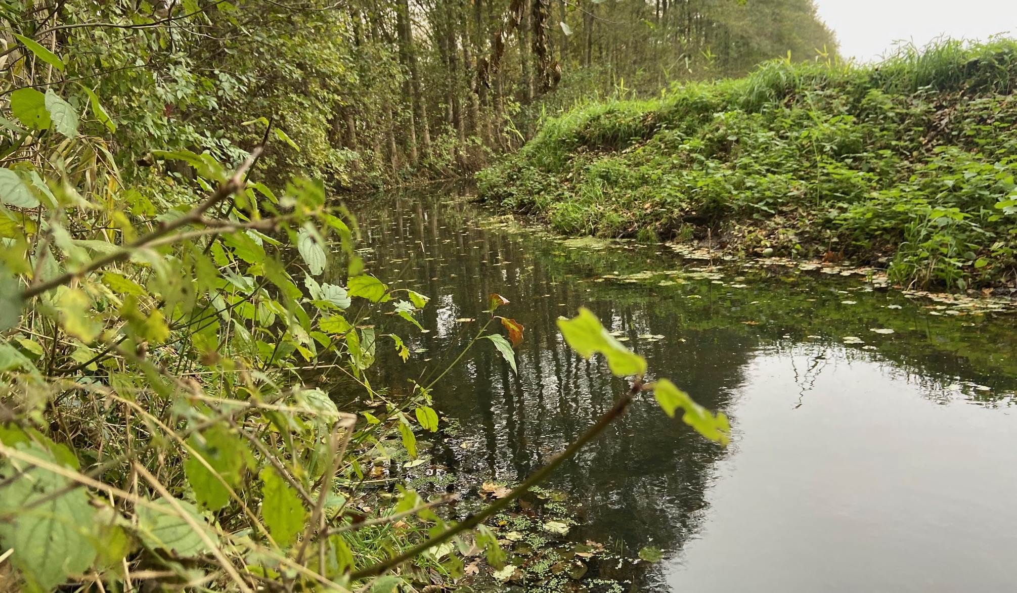 Rote Gebiete schützen Gewässer, die überhaupt nicht nitratbelastet sind