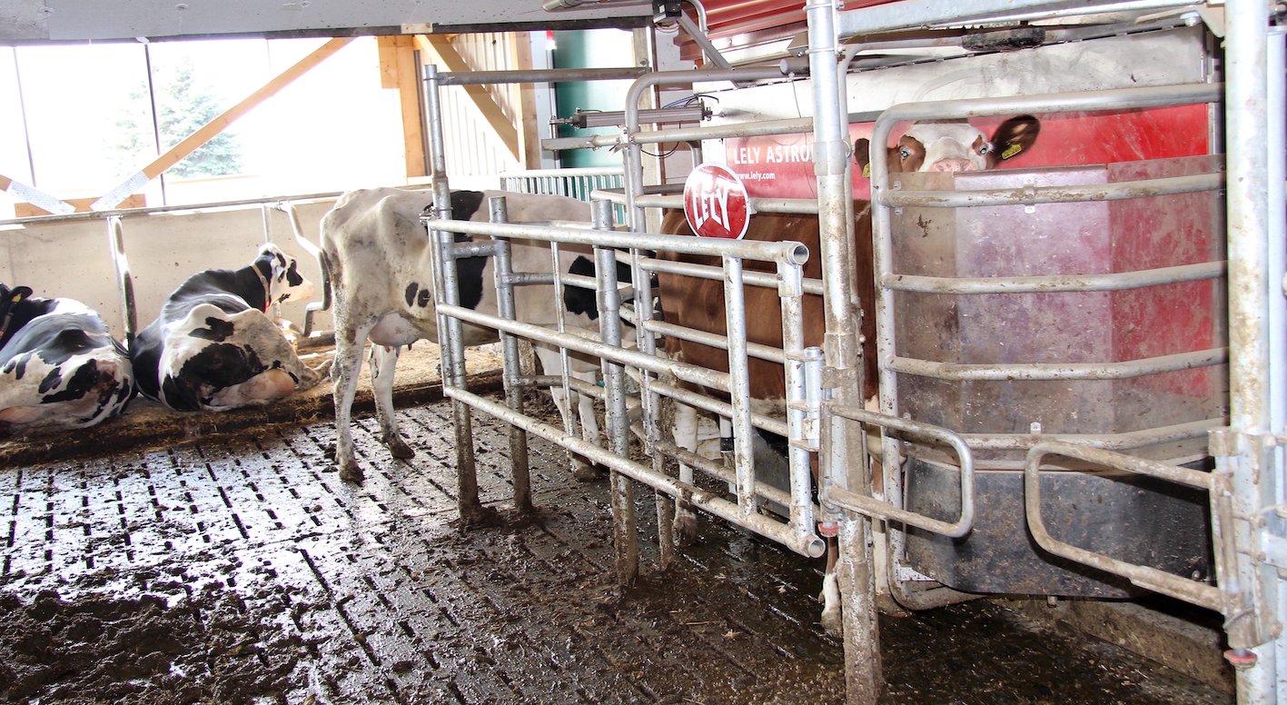 Im gegenwartigen System wird nicht nur die Kuh, sondern auch der Bauer gemolken