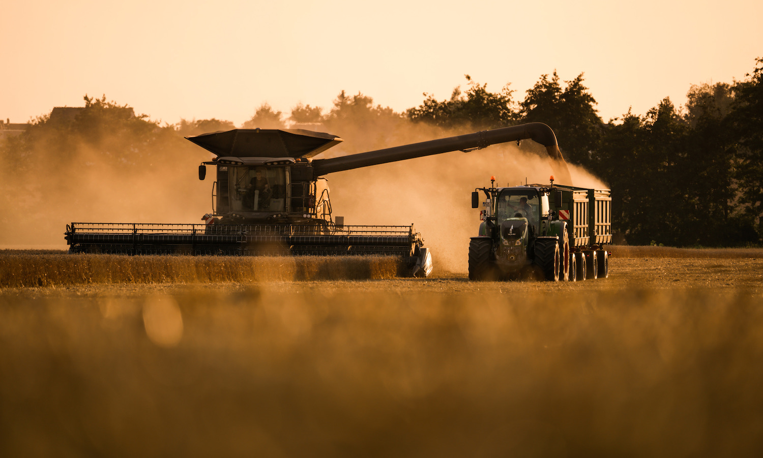 Hier spielt die Musik: Von Stillegung und Selbstbegrünung wird keiner satt