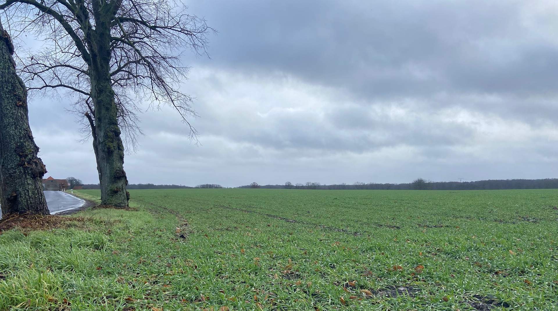 Karge Boden, trotzdem begehrt - wie lässt sich der Ausverkauf von Agrarflächen in Brandenburg stoppen?