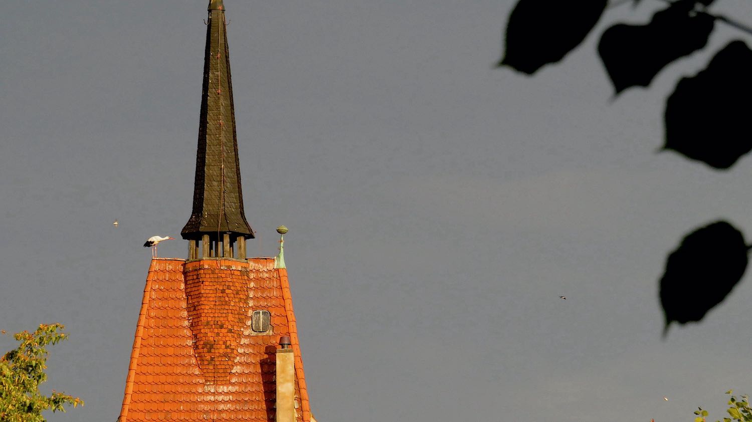 Der Storch ist hier gelandet