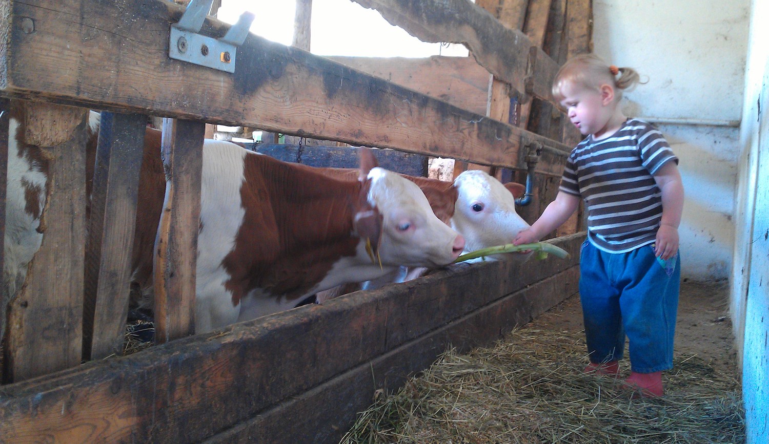 Kleine Betriebe dürfen nicht schlechter gestellt werden