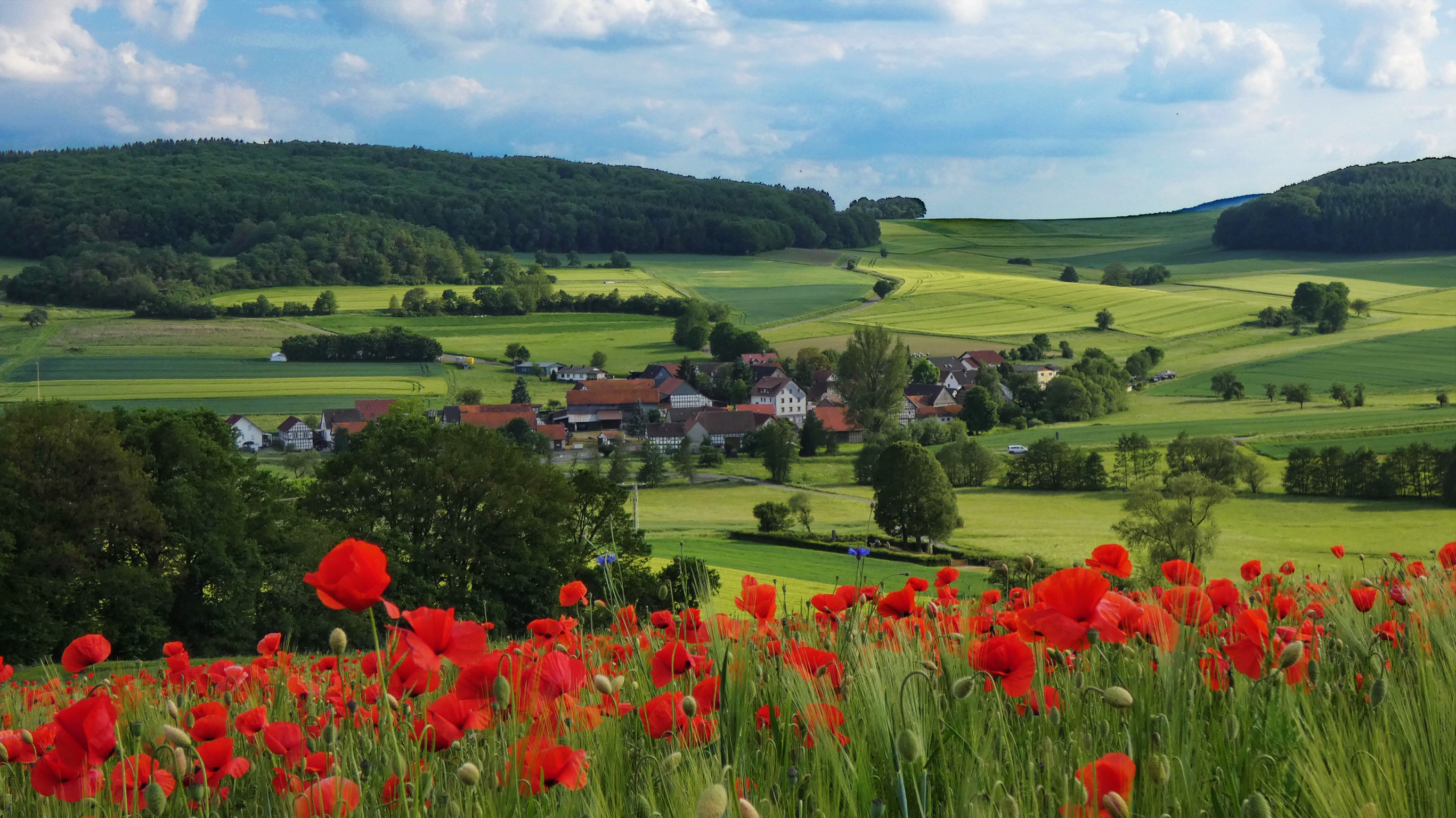 Unsere Landwirtschaft produziert gigantische Umweltzerstörung, wie man sieht