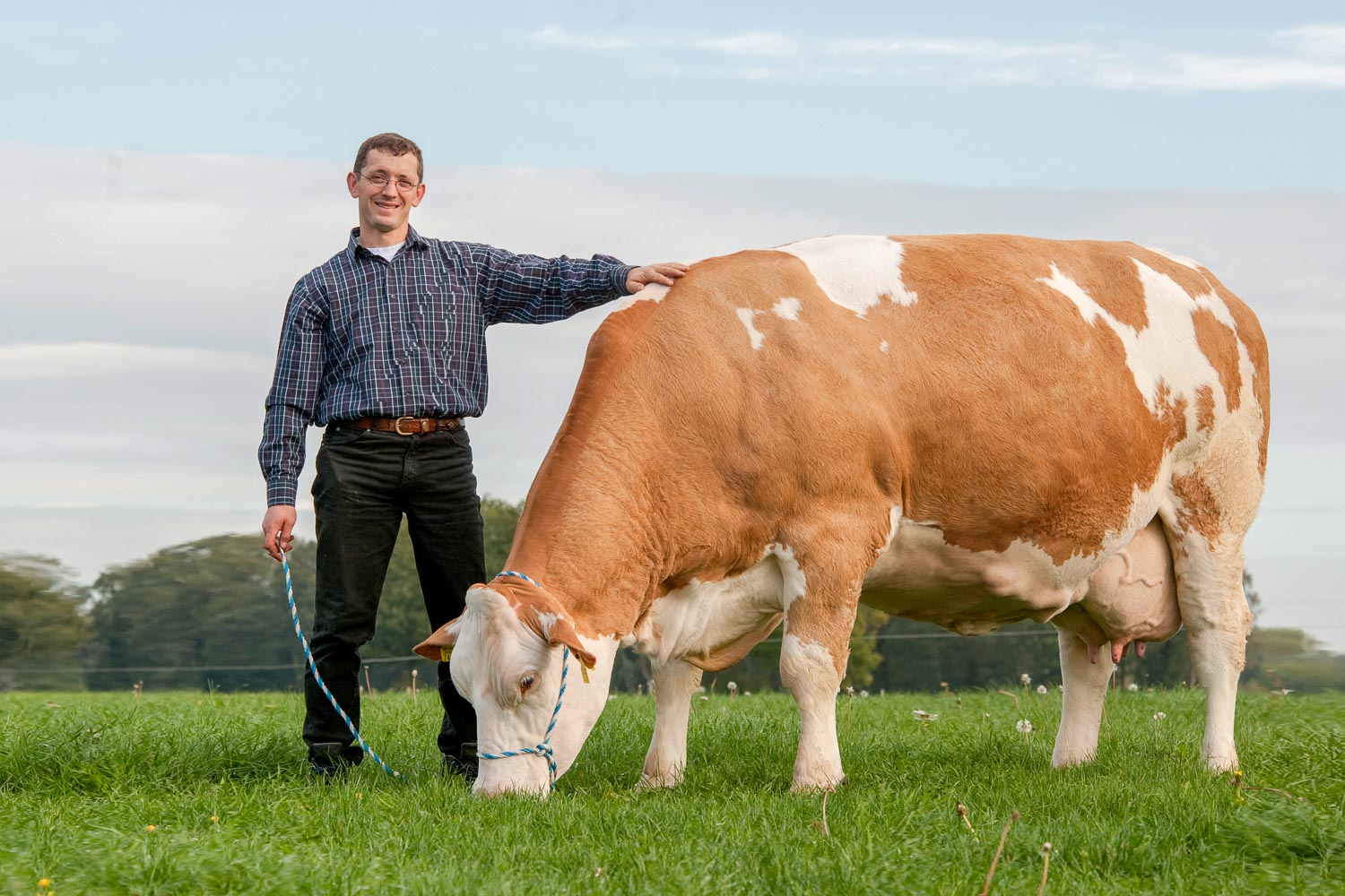  Ludger Specker bewirtschaftet 70 Hektar Acker mit Weizen, Gerste, Silomais und Ackergras sowie Grünland und hält 110 Milchkühe der Rassen Deutsche Rotbunte und Fleckvieh in Wettringen in Nordrhein-Westfalen