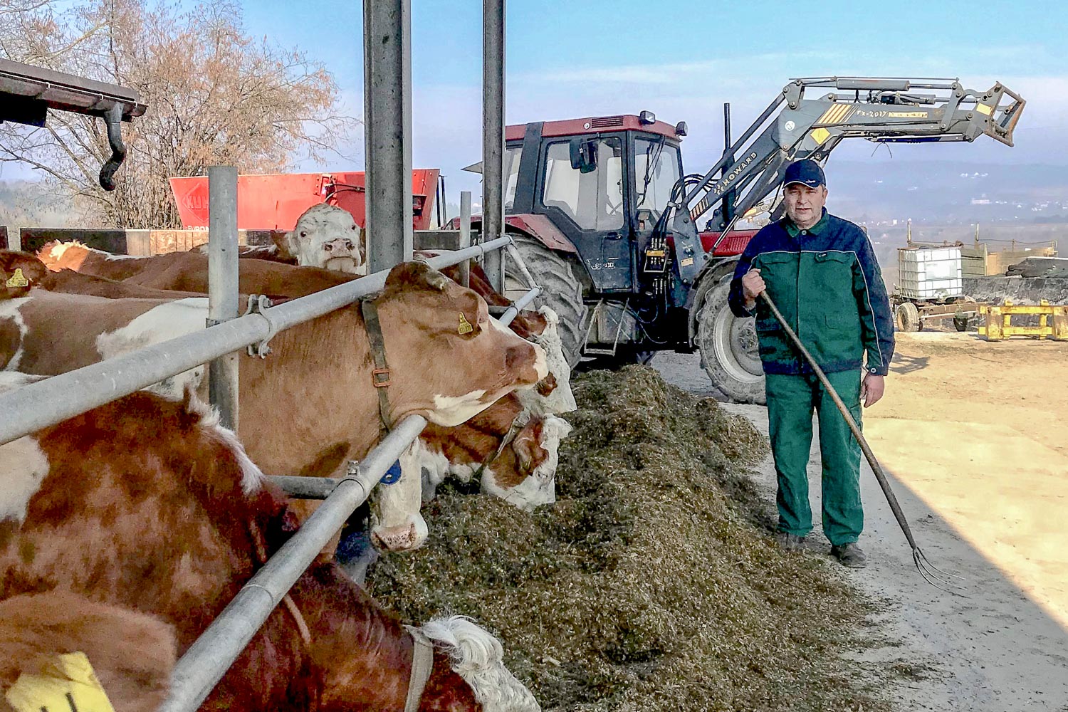 Martin Kugler bewirtschaftet 100 Hektar Acker mit Weizen, Gerste, Raps und Silomais sowie Grünland, hält 50 Milchkühe der Rasse Fleckvieh und pflegt Streuobstwiesen in Steinbach in Baden-Württemberg