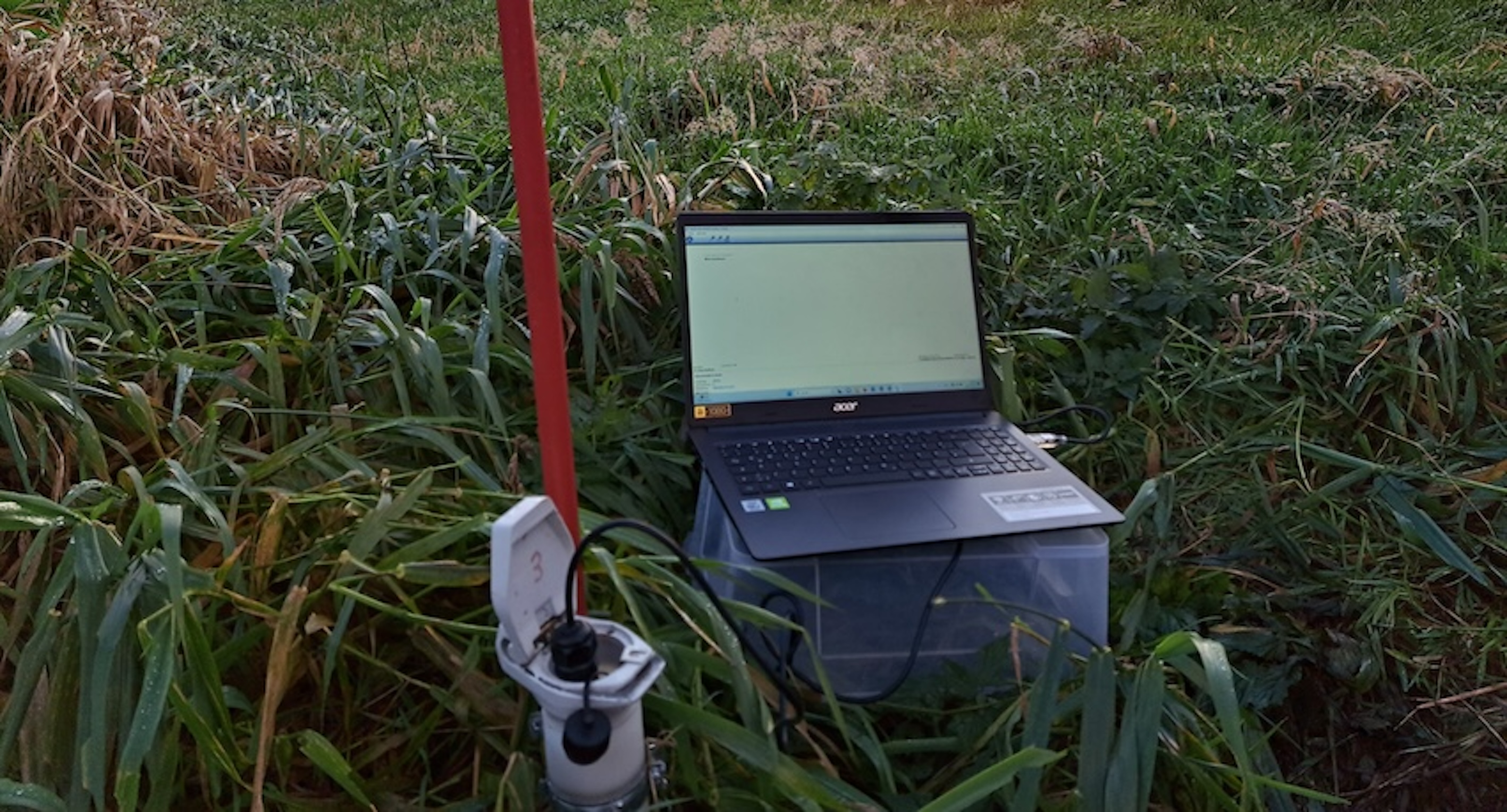 Beim Moor macht uns so schnell keiner mehr was vor .-)