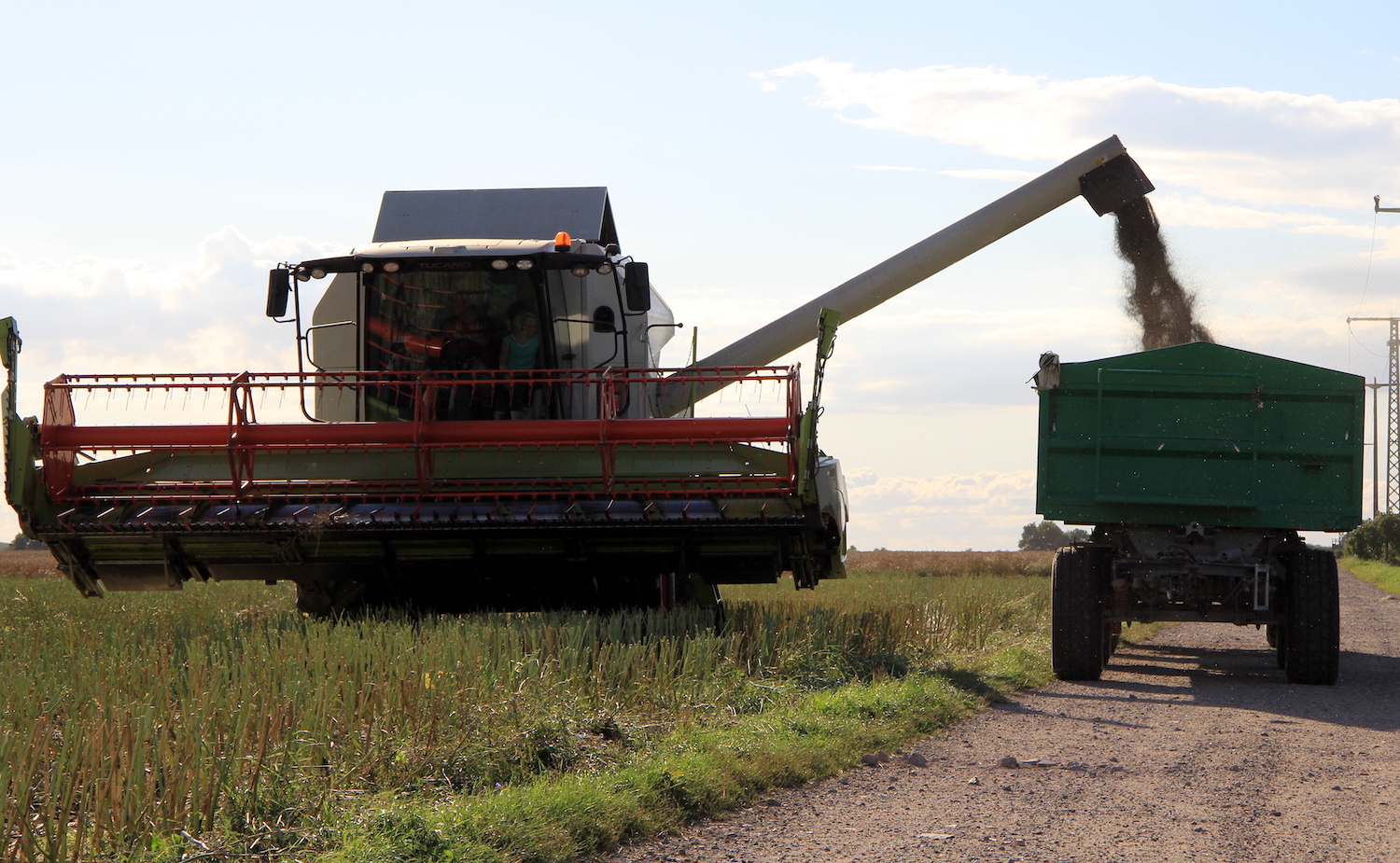 Nicht zu vergessen: Wir sorgen fürs Essen