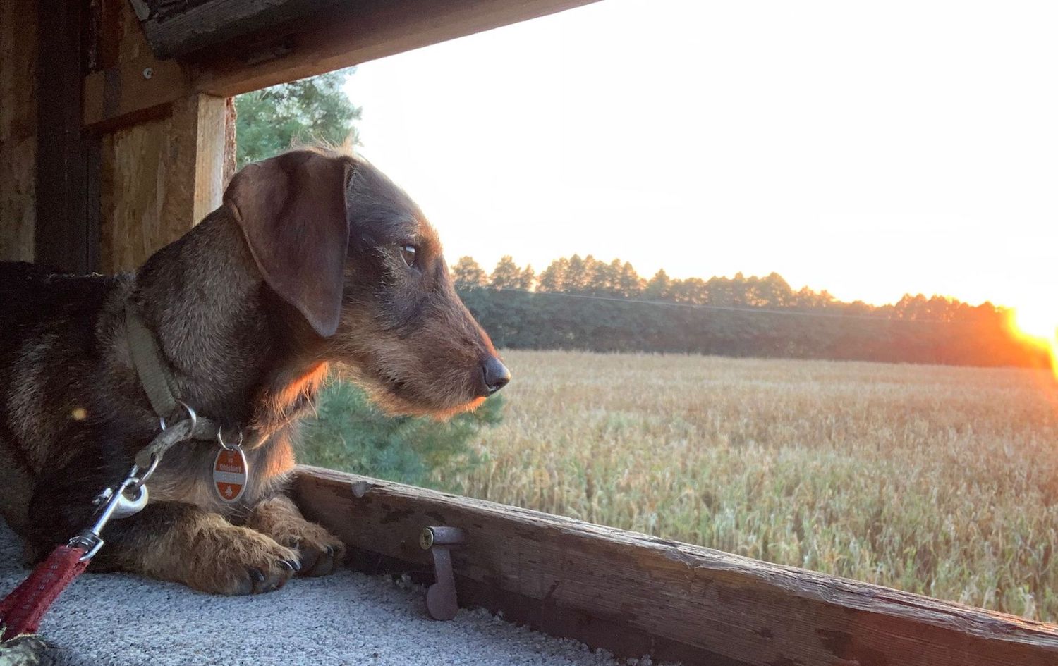 Oben verliert man manchmal die Witterung
