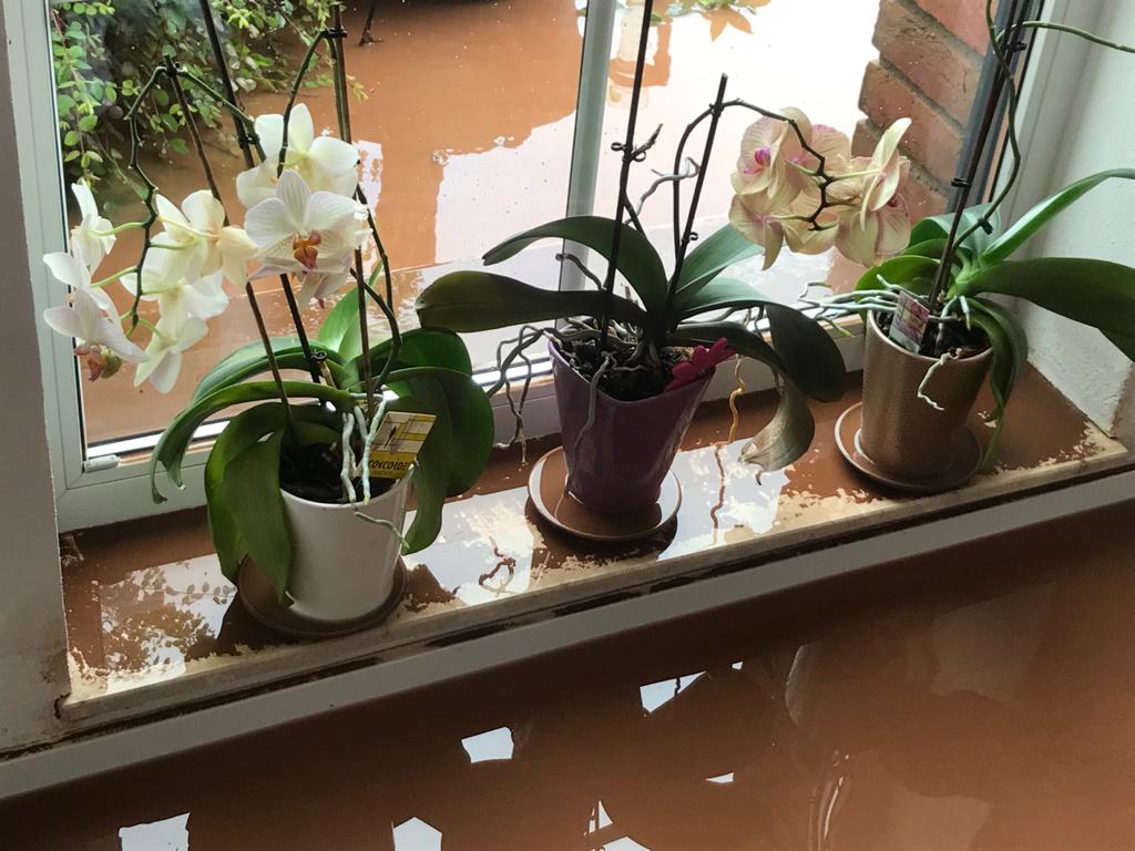 Blick aus dem Wohnzimmerfenster in Nemmenich