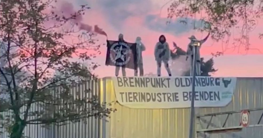 Grüner Ungeist, militante Aktionen: heute morgen im Ammerland