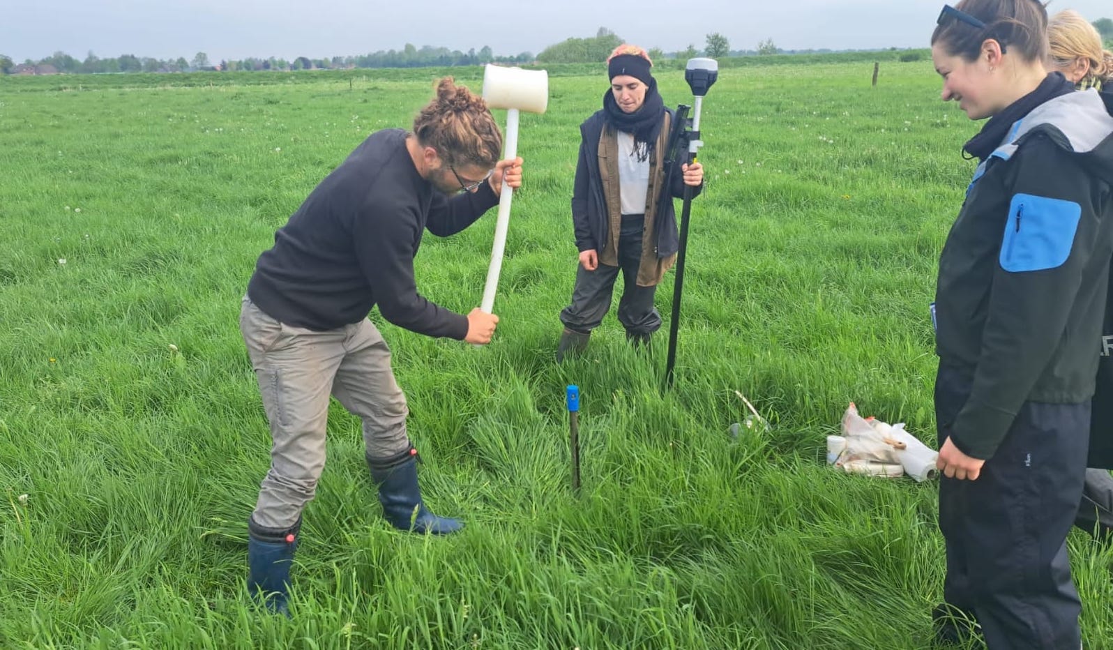 Intensives Moorgrünland: Das Forschungsteam bei der Arbeit