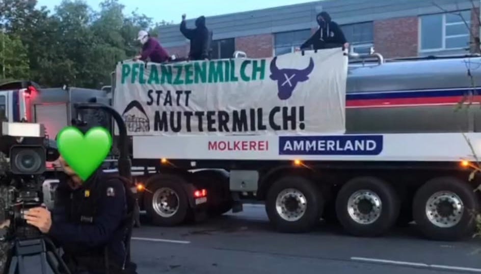 Heute morgen in Wiefelstede: Vermummte Gestalten, vernebeltes Hirn