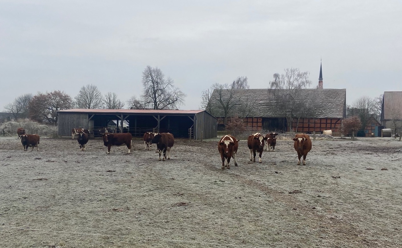 Regionale Erzeugung ist ökologischer als Import aus Übersee