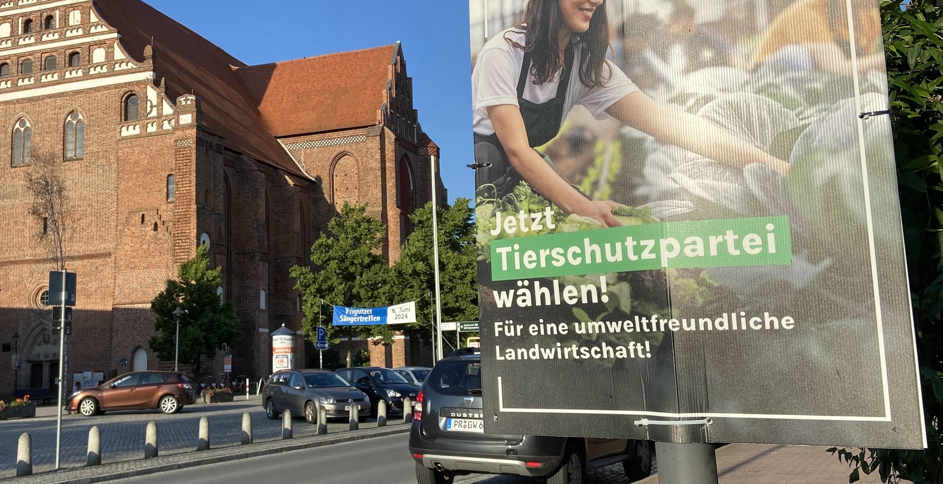 Europawahl: Parteien, die man auf keinen Fall wählen kann, gibt es leider mehr als genug ...