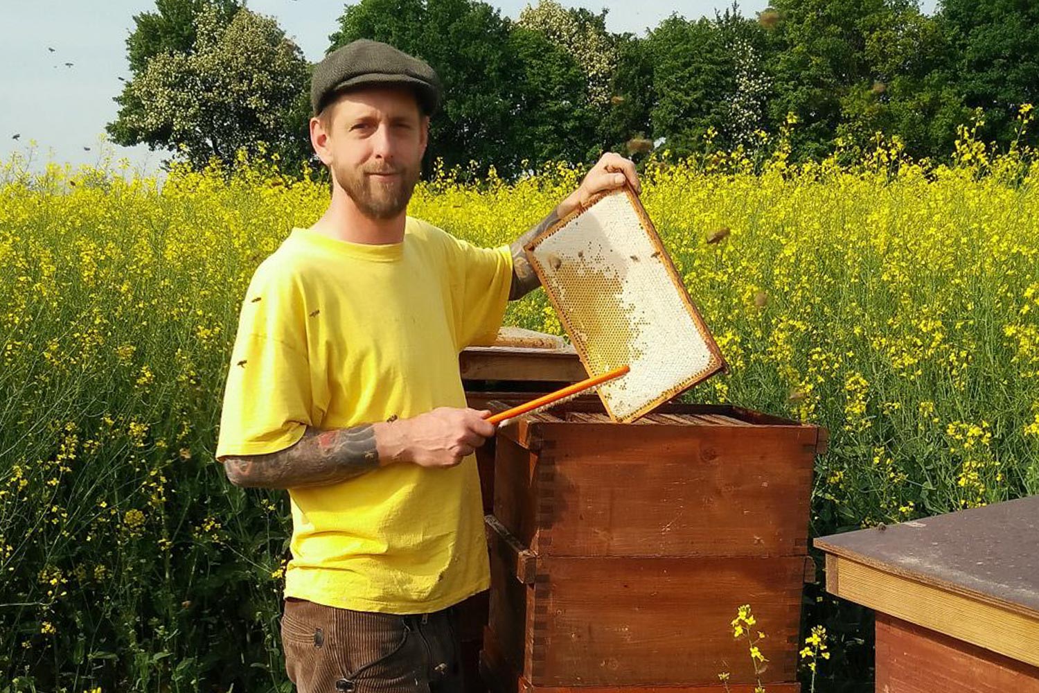 Ralf Sester ist Berufsimker in Frechen westlich von Köln. Der gelernte Tischlermeister und studierte Regionalwissenschaftler hat sich seit 1999 eine Imkerei aufgebaut und vermarktet seinen Honig selbst (www.imkerei-sester.de).
