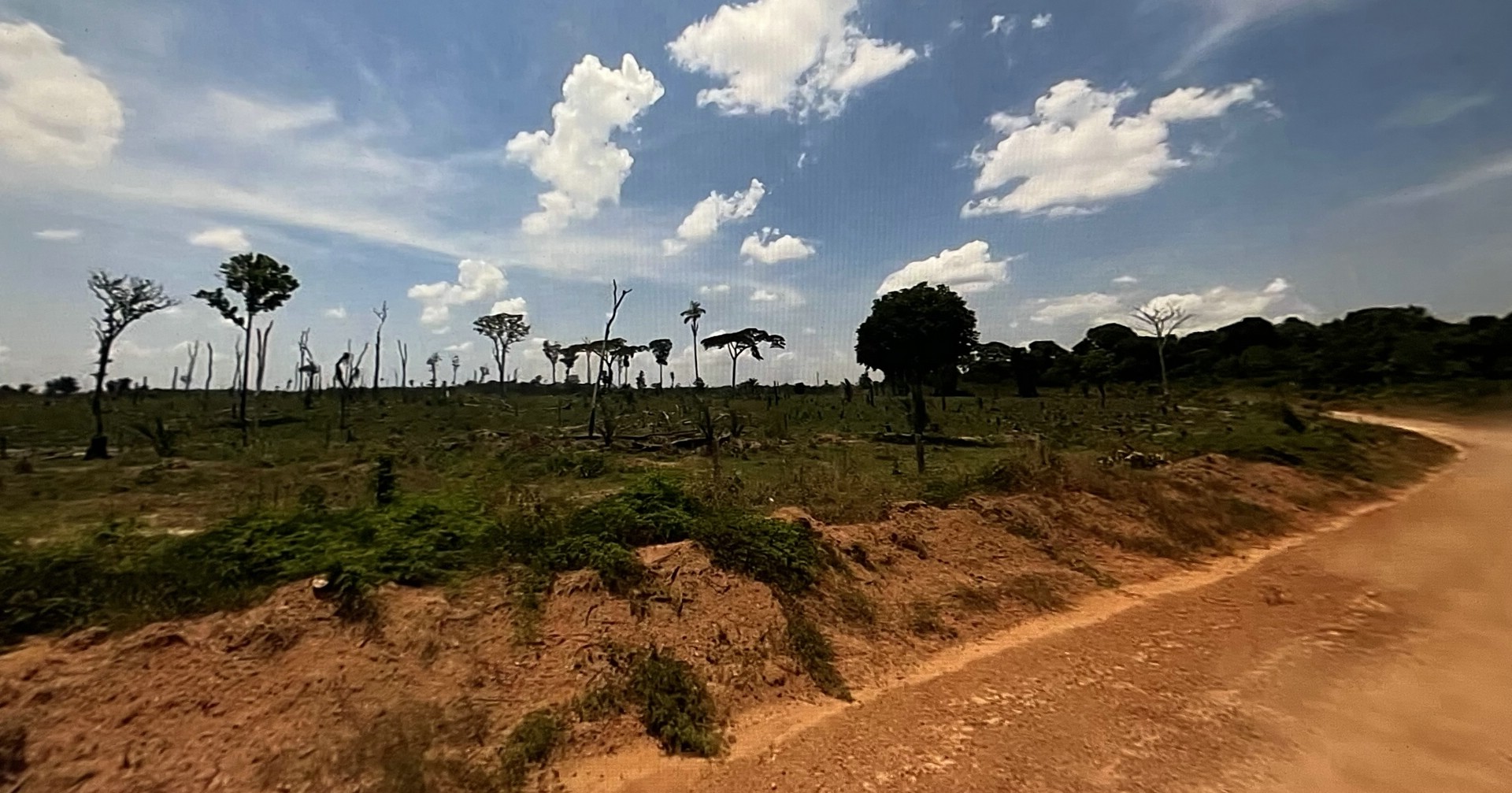 Brasilien schafft neue Agrarflächen durch Brandrodung im Regenwald, Özdemir will europäische Märkte für brasilianische Agrarprodukte öffnen ... noch Fragen?
