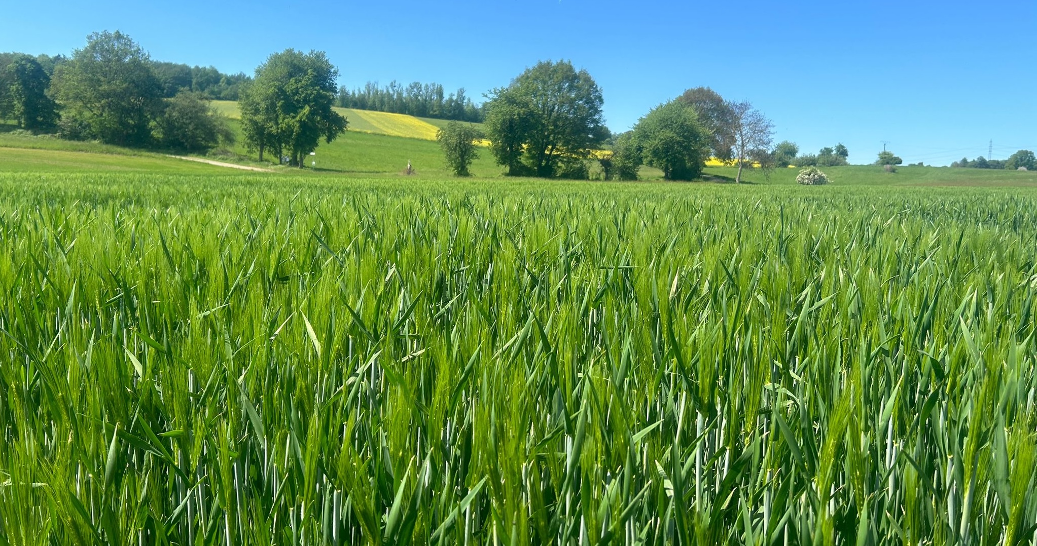Die Saat, die auf unseren Feldern aufgeht, gehört uns und niemandem sonst!