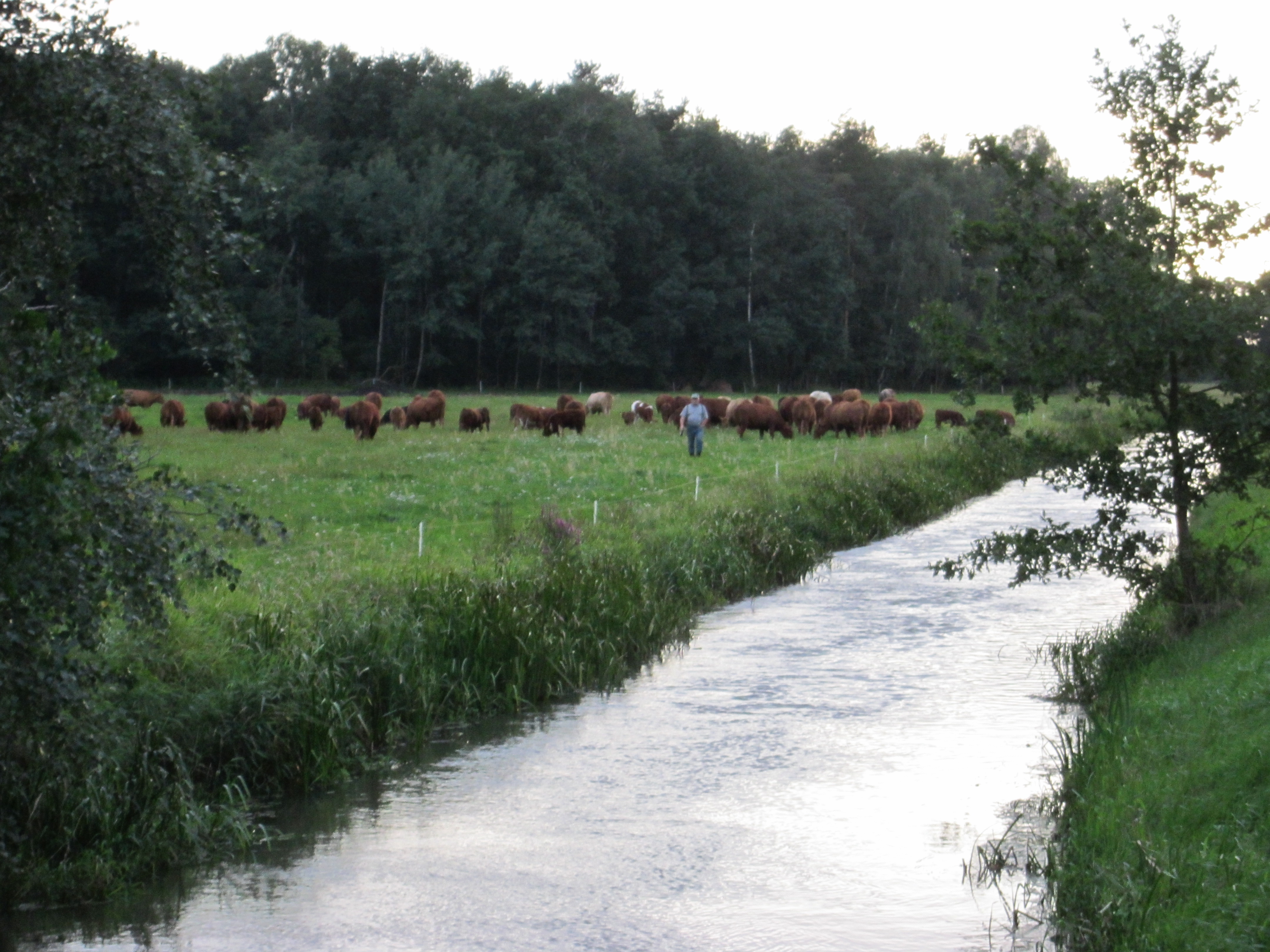 Gewässerverschmutzung Teil 3 – Kälte macht den Kläranlagen zu schaffen