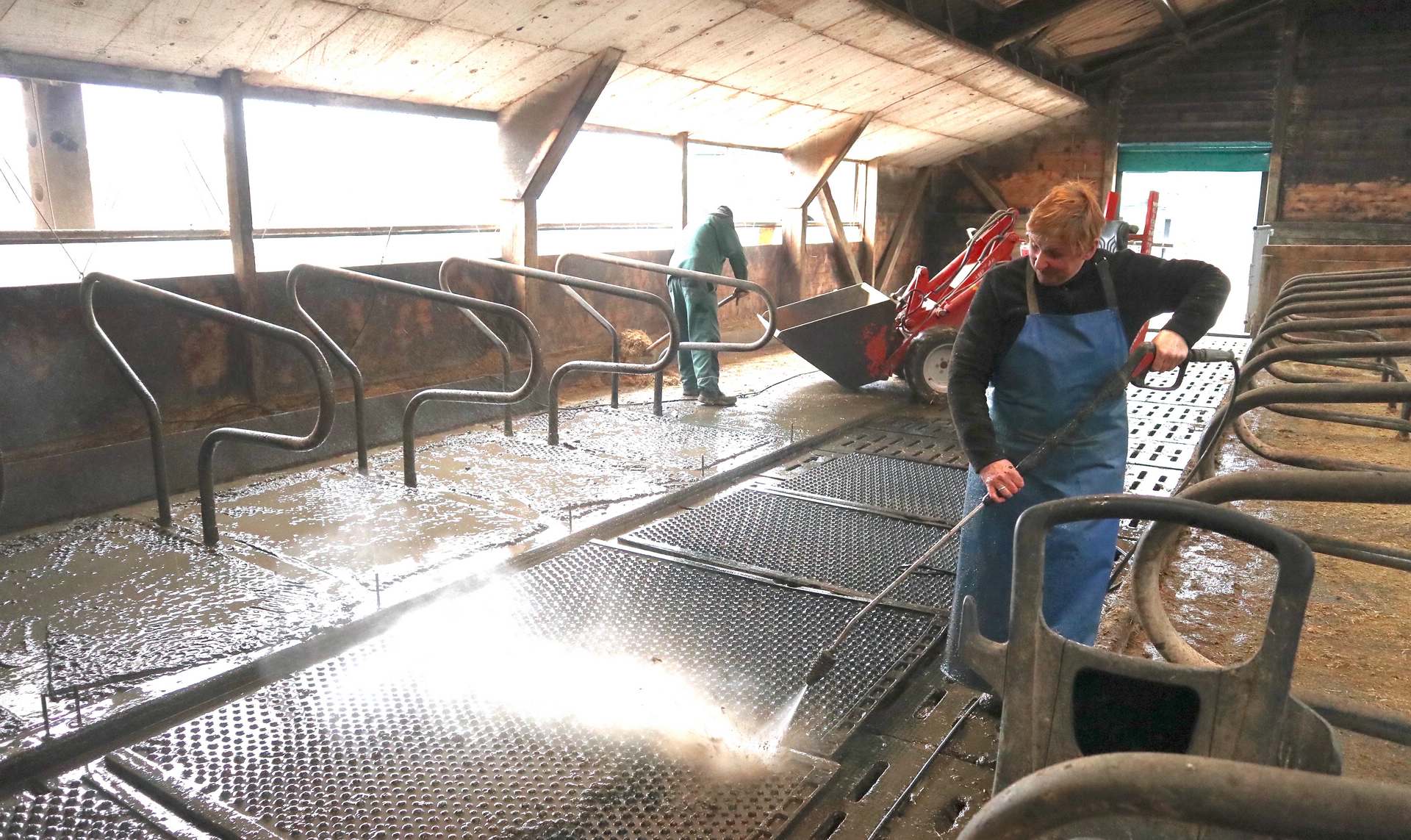 Unsere Ställe halten noch viele Jahre ohne Umbau