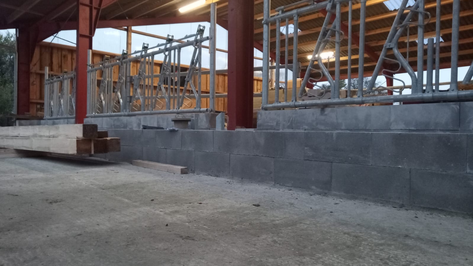 Stallbau in Deutschland – viele Betriebe warten ab