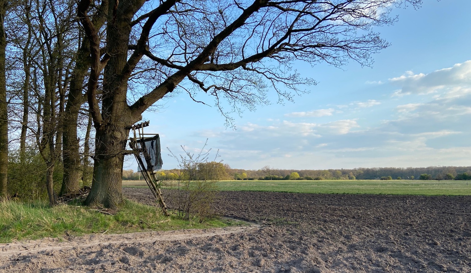 Völlig durchgeknallt oder böse Strategie: am Entwurf für das neue Jagdgesetz scheiden sich die Geister