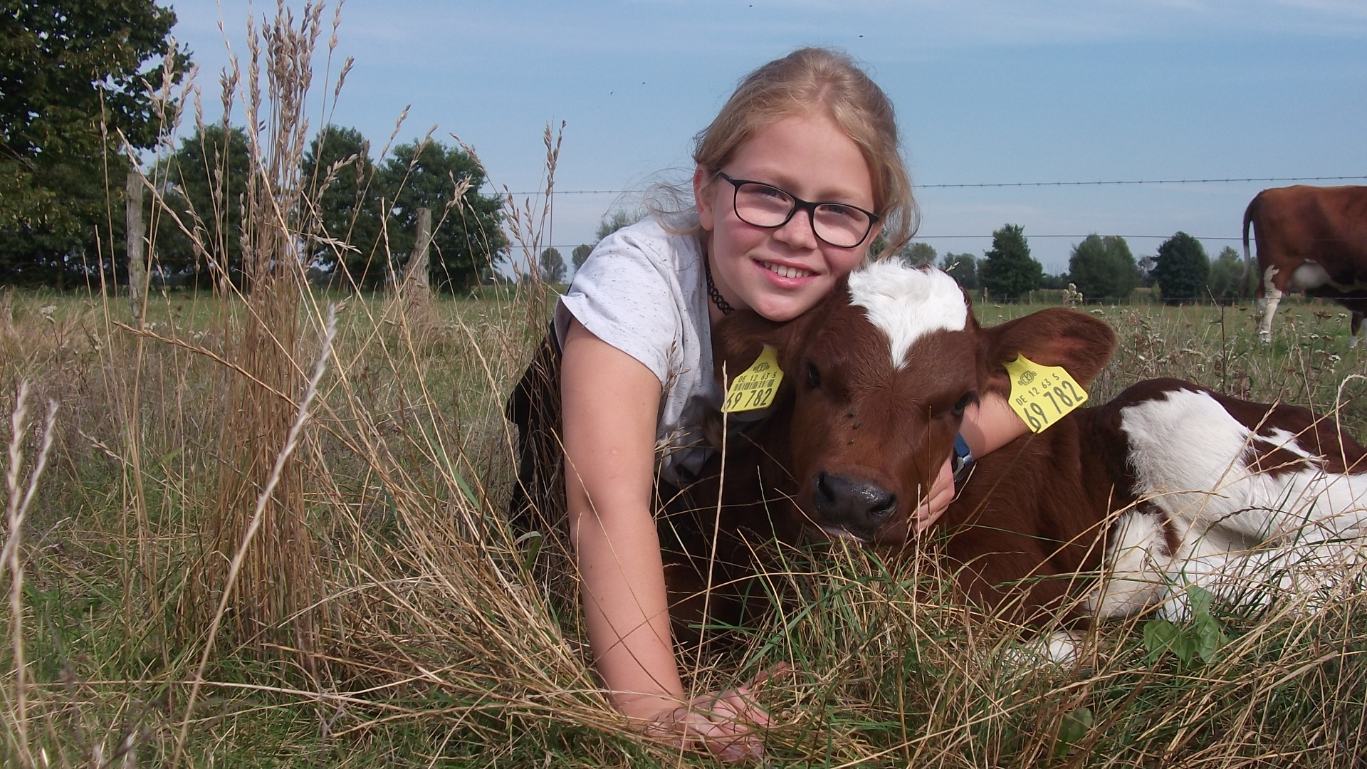 Weidetierhaltung und Wolfe passen nicht zusammen
