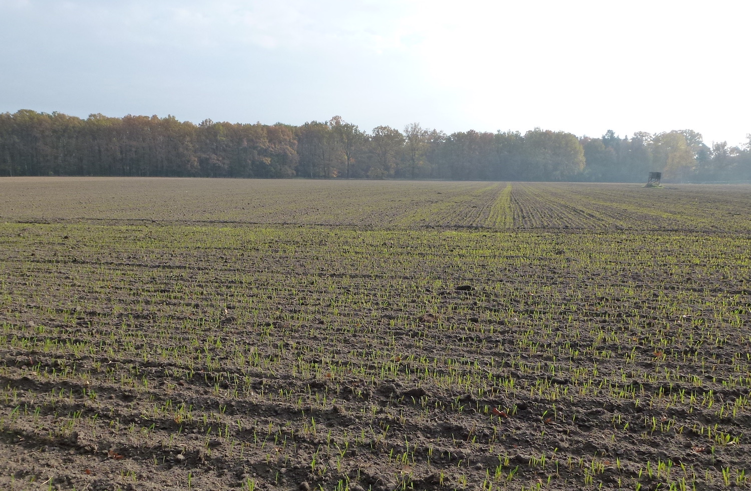 Wem das Land gehört ist nicht egal