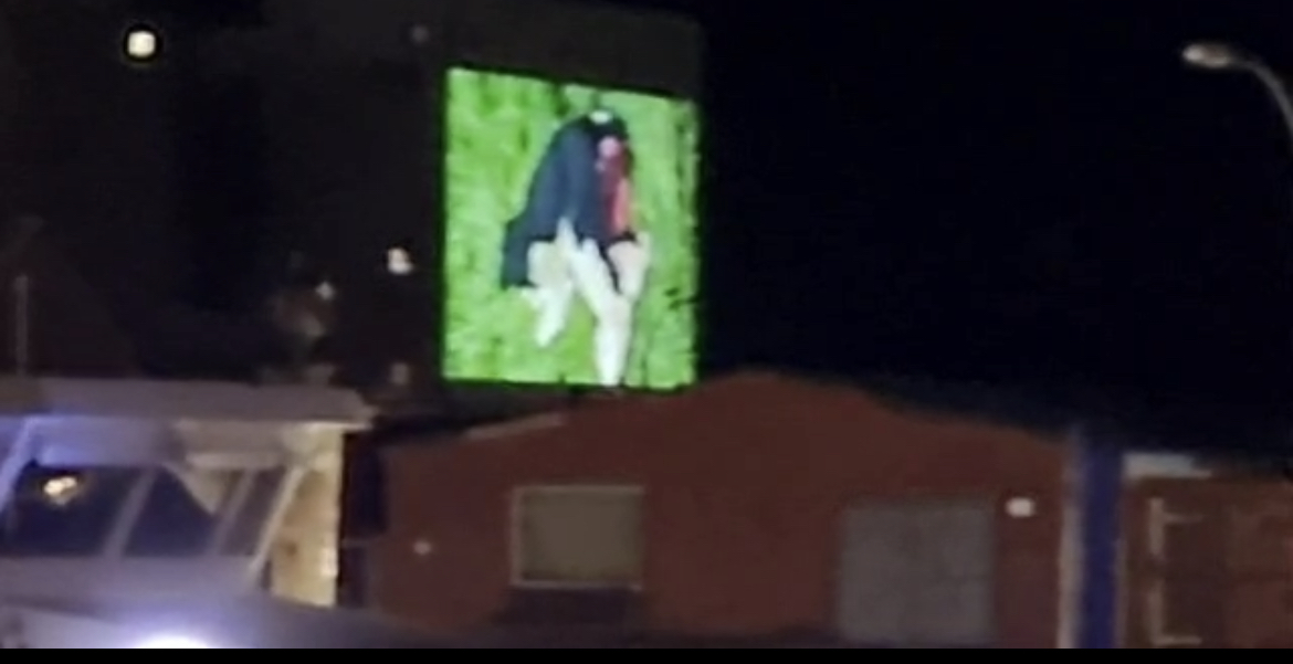 Das sind unsere Tiere - wann dürfen wir uns endlich legal zur Wehr setzen?